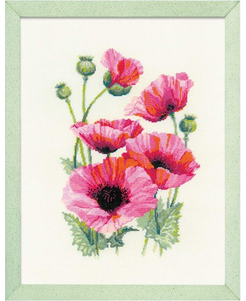 Pink Poppies 1775