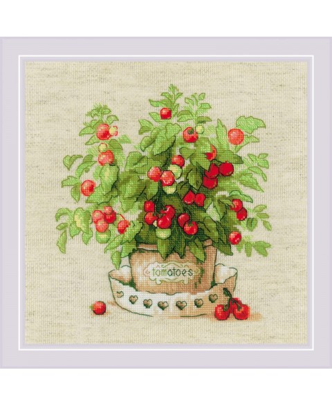 Tomatoes in a Pot 1983