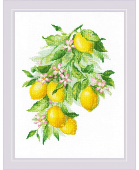 Bright Lemons 2054