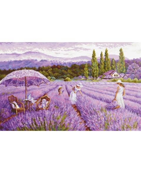 Lavender Field SBU5008