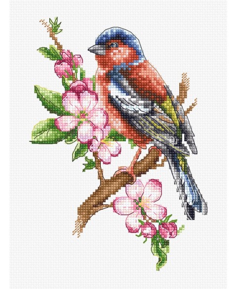 Chaffinch Bird SB1196