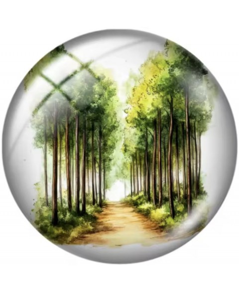 Magnetic Needleminder Forests 4