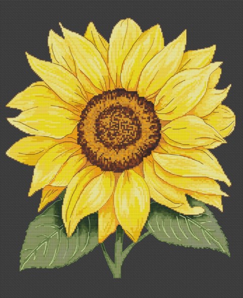 Siuvinėjimo schema "Saulės žiedas" MPS002