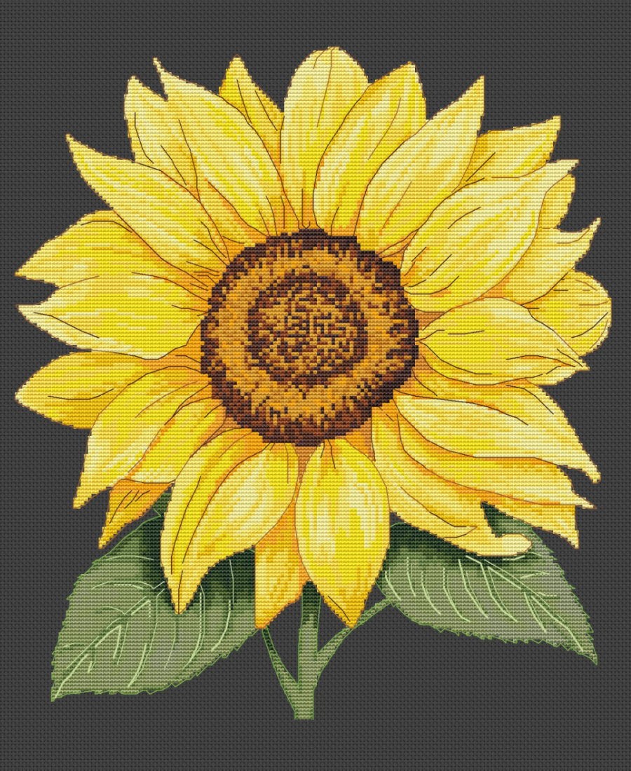 Siuvinėjimo schema "Saulės žiedas" MPS002