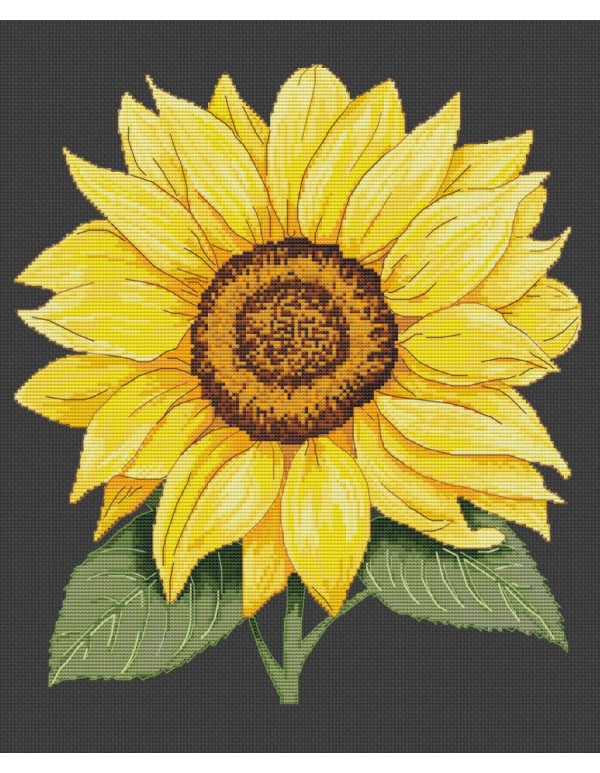 Siuvinėjimo schema "Saulės žiedas" MPS002