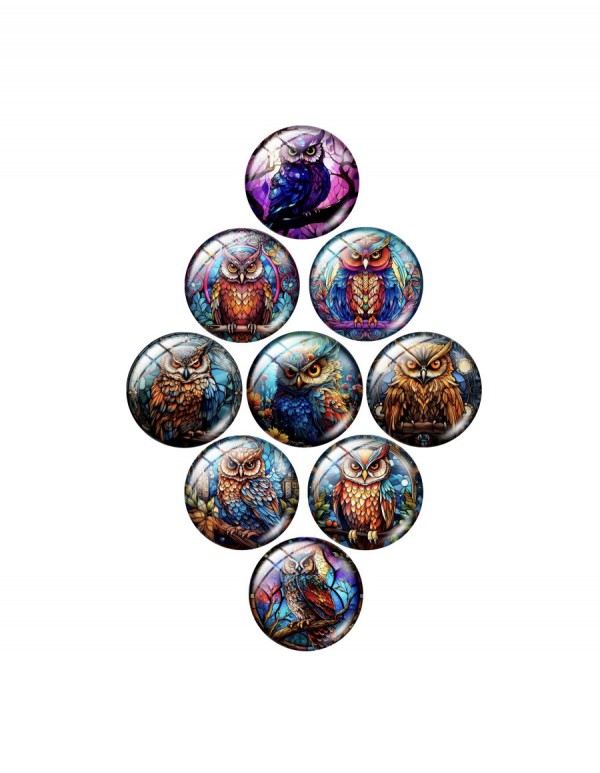 Magnetukas adatai "Išmintingas žvilgsnis"