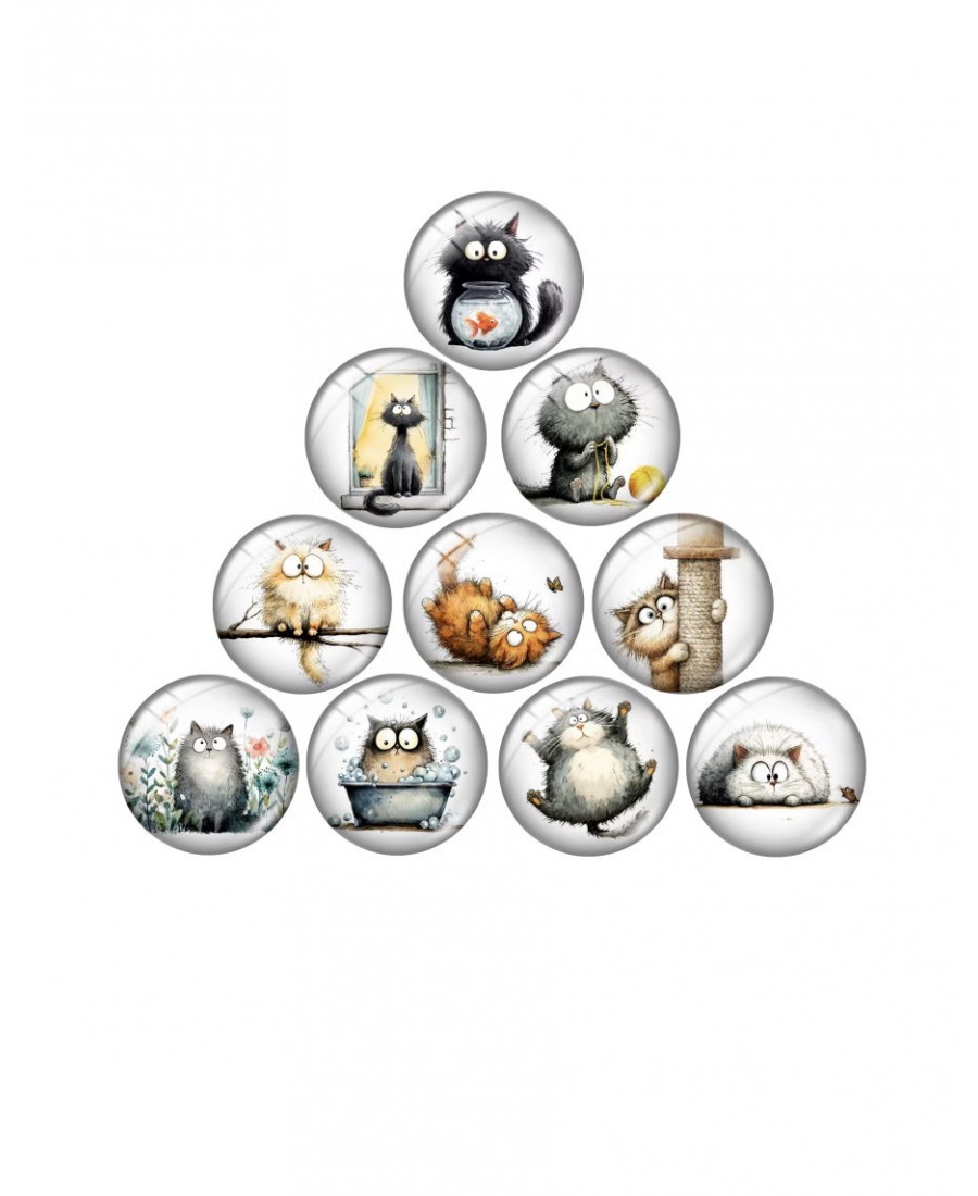 Magnetukas adatai "Ką tu?"