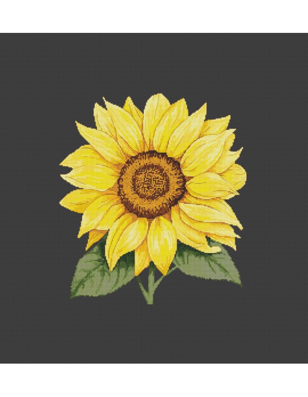 Cross stitching kit "Sunflower" MP156