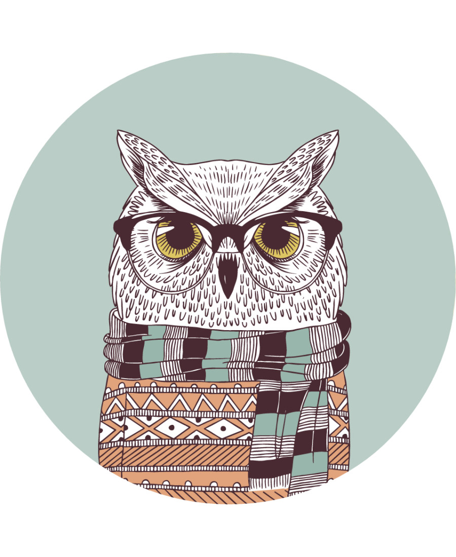 Thread Organizer "Owl"