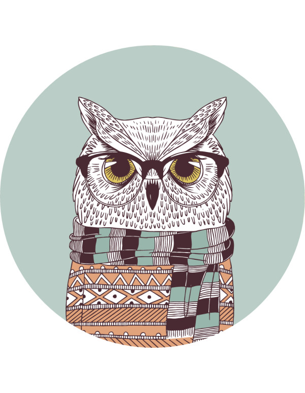 Thread Organizer "Owl"