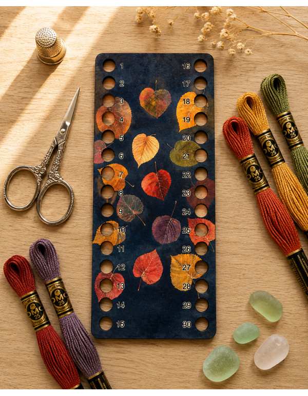 Thread Organizer “Colorful Rain”