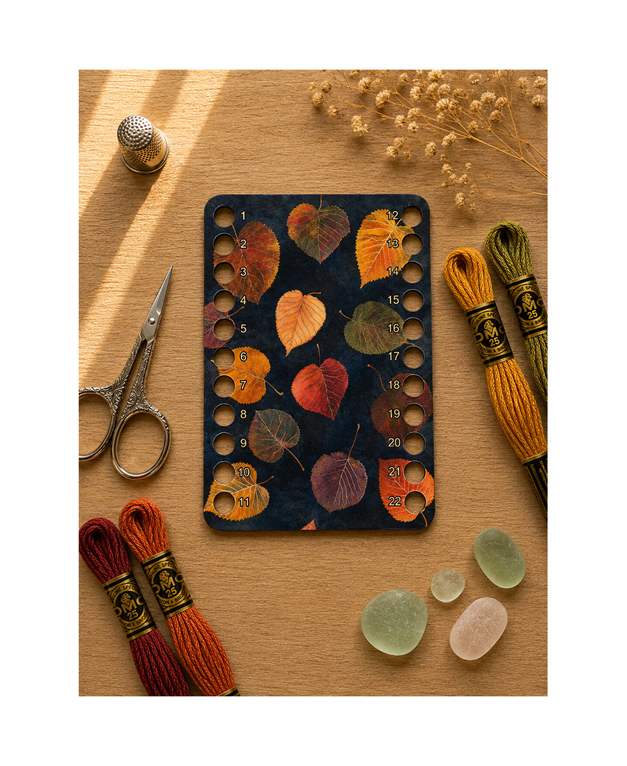 Thread Organizer “Colorful Rain”
