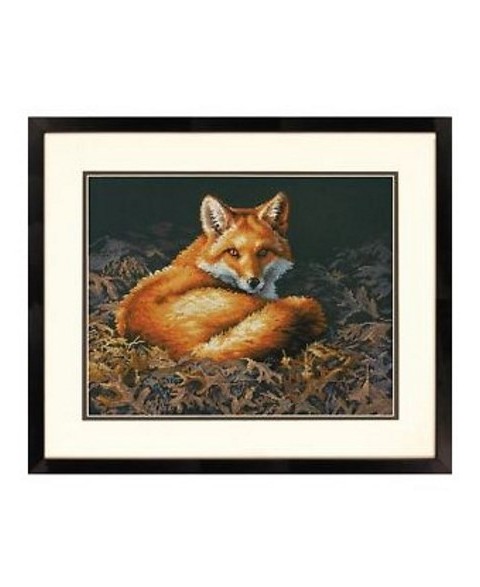 Sunlit Fox D70-35318