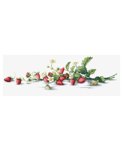 Cross stitch kit "Etude with Strawberries" SB2266