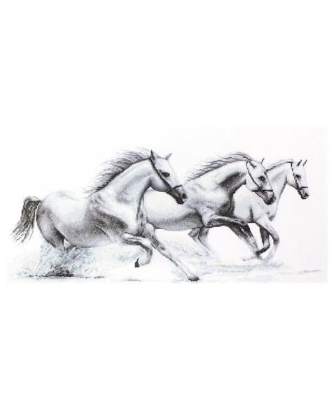 White horses SB495