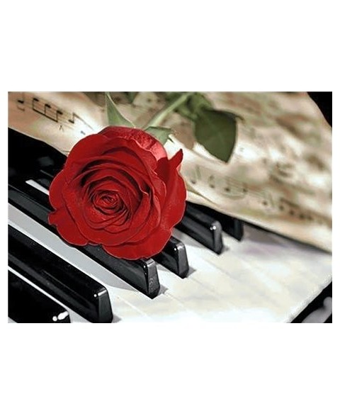 Rose Music WD053