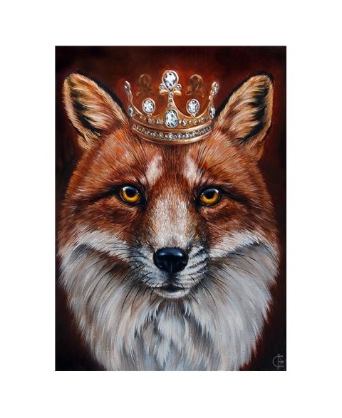 Fox King WD2467