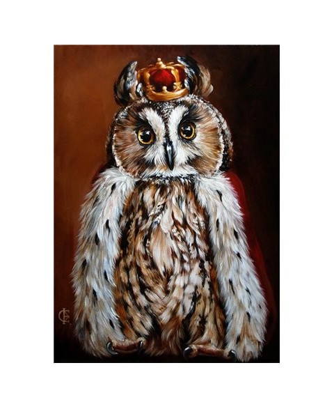 Owl King WD2468