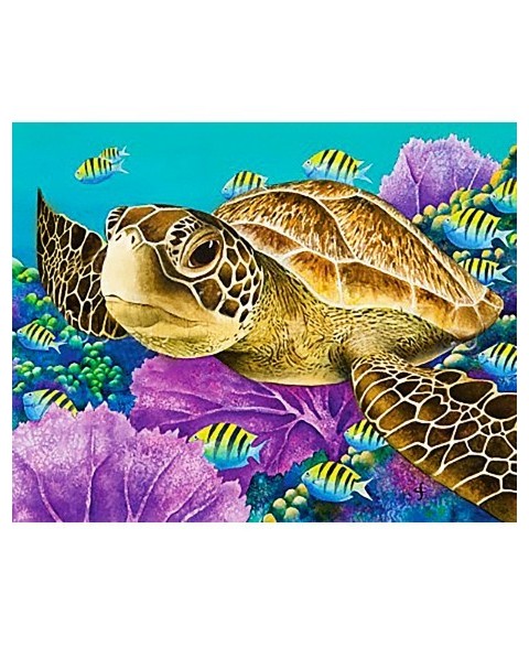 Young Green Sea Turtle WD2428